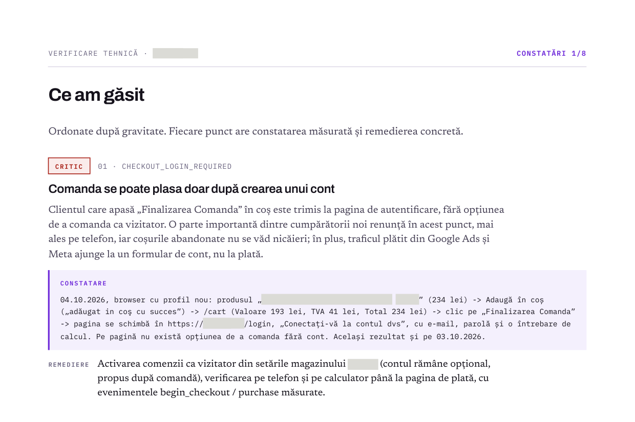 Pagină dintr-un raport de audit real, cu numele clientului acoperit